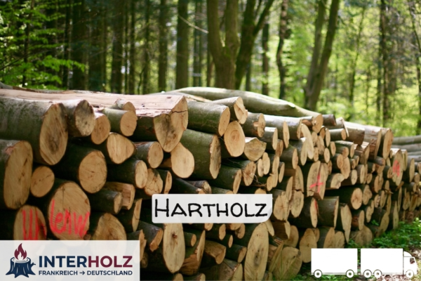 Stammholz Hartholz Laubholz – LKW-Ladung Rundholz, Durchmesser 30–33 cm, Länge 4–6 m