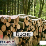 Gemini_Generated_Image_mr78twmr78twmr78 (1) Stammholz Buche – LKW-Ladung Rundholz, Durchmesser 30–33 cm, Länge 4–6 m