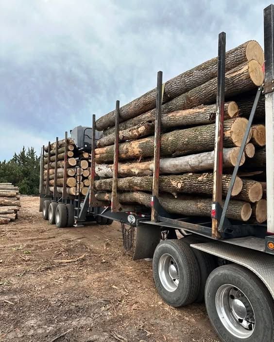 INTER HOLZ Logistik